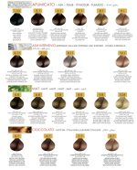 رنگ مو رنوال - Image 3