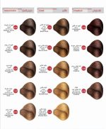 رنگ موی دنی وان