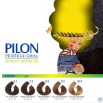 رنگ مو پیلون PILON - Image 6