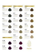 رنگ مو بیجورکا - Image 4